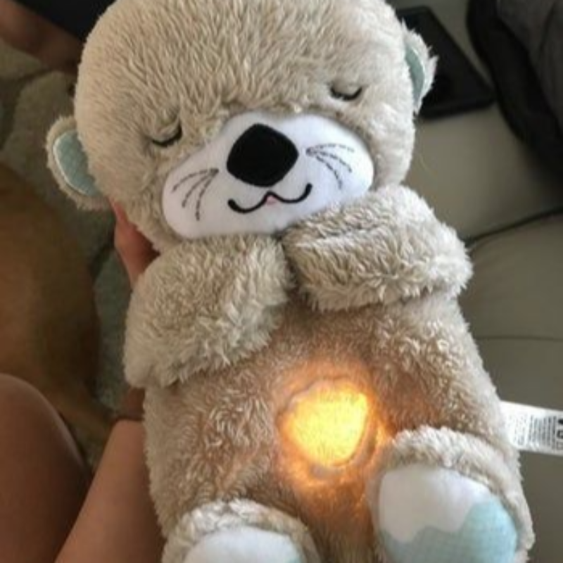 Cute Breathing Bear